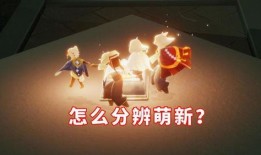 光遇最新爆料是真的吗还是假的,揭秘真相，是真实爆料还是虚假传闻？